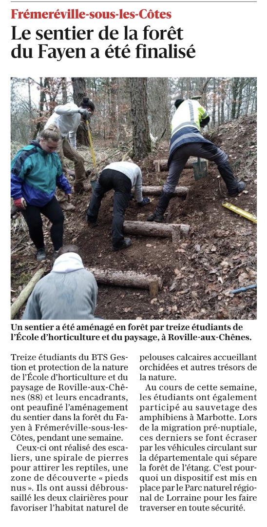 travaux sur le sentier du Fayen  frmerville